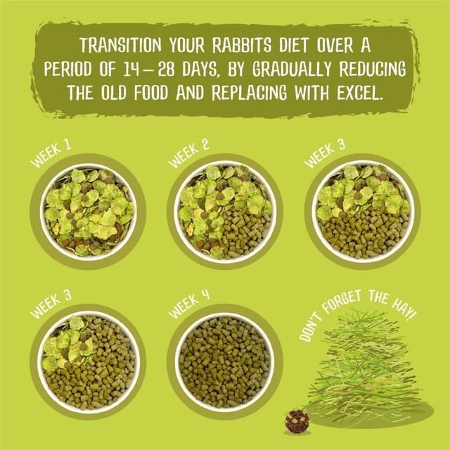 Burgess Excel Adult Rabbit Food with Mint 1.5kg