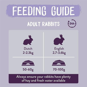 Burgess Excel Indoor Rabbit Nuggets 10kg