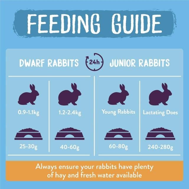 Burgess Excel Junior And Dwarf Rabbit Food 3kg