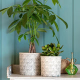 Burgon & Ball Venetian Plant Pot Large 16cm