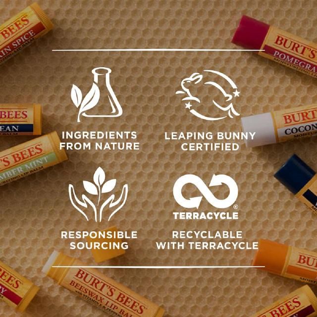 Burt's Bees 100% Natural Moisturising Lip Balm Original Beeswax & Honey 4 per pack
