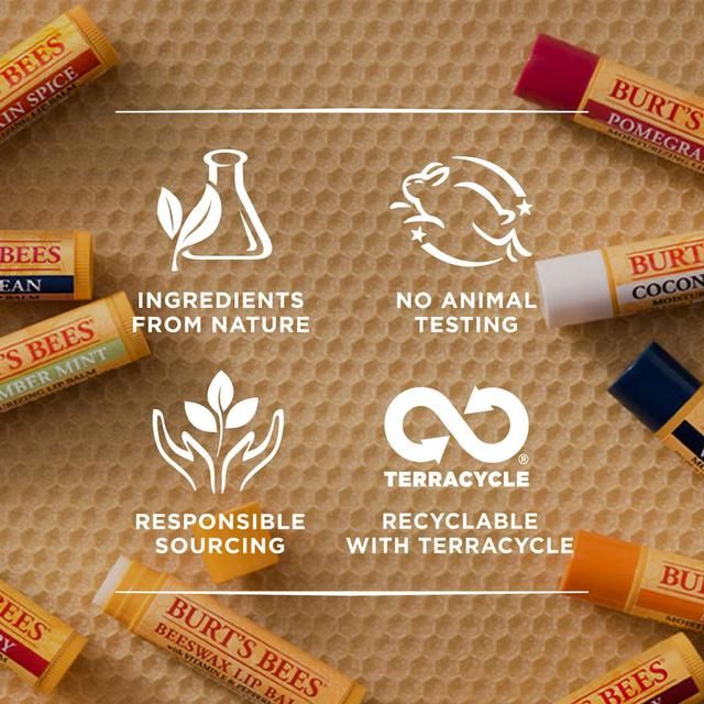 Burt's Bees Moisturising Vanilla Bean Lip Balm 4.25g