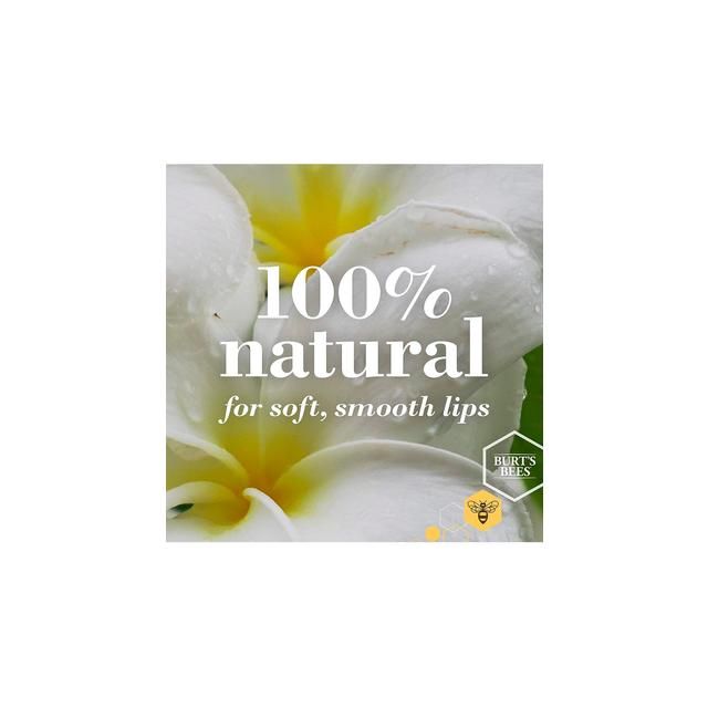 Burt's Bees Ultra Conditioning Lip Balm with Kokum 4.25g