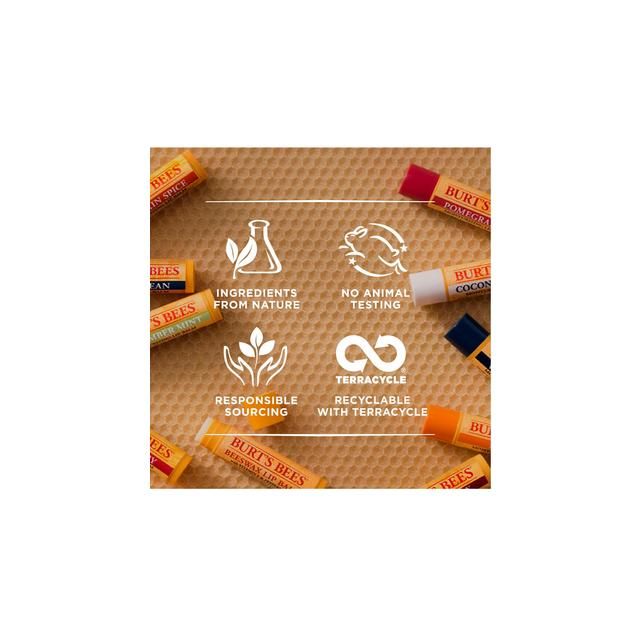 Burt's Bees Ultra Conditioning Lip Balm with Kokum 4.25g