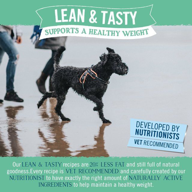 Butcher's Lean & Tasty Low Fat Dog Food Trays 24 x 150g