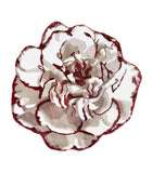 Graccioza Desert Rose bath mat 100cm cotton, UK version