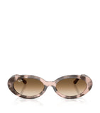 Ray-Ban RB2223 sunglasses - British product