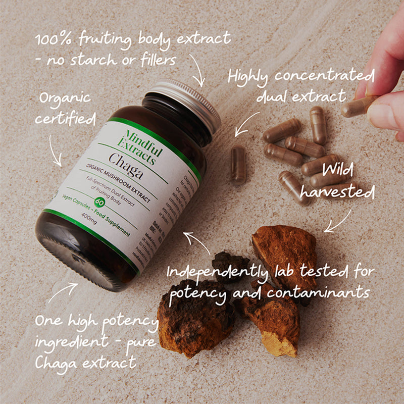 Mindful Extracts Chaga Mushroom Capsules 60, imported from the UK