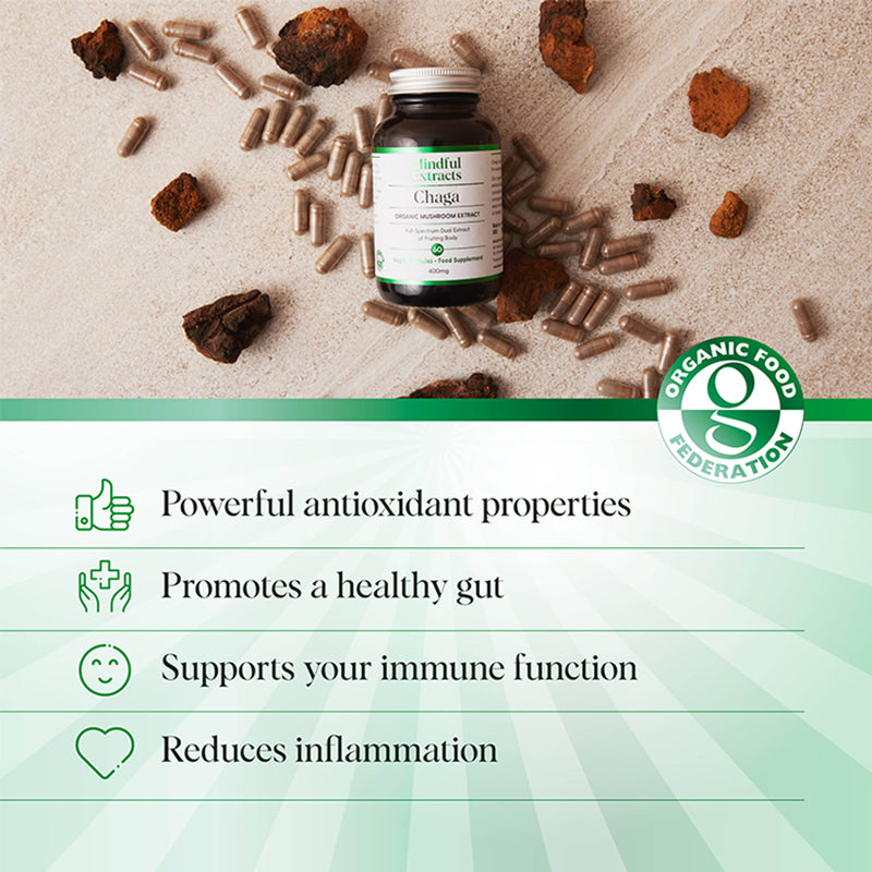 Mindful Extracts Chaga Mushroom Capsules 60, imported from the UK