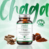 Mindful Extracts Chaga Mushroom Capsules 60, imported from the UK