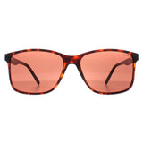 Superdrug Barbour 3014 Brown Men Sunglasses- Buy online at McGrocer