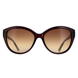 Superdrug Calvin Klein CK19536S Brown Women Sunglasses- Buy online at McGrocer
