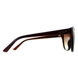 Calvin Klein brown cat eye sunglasses (British brand)