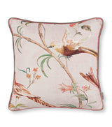 Harrods Pluma Blush Cushion with European Duck Feather Filling, 50cm x 50cm- Buy online at McGrocer