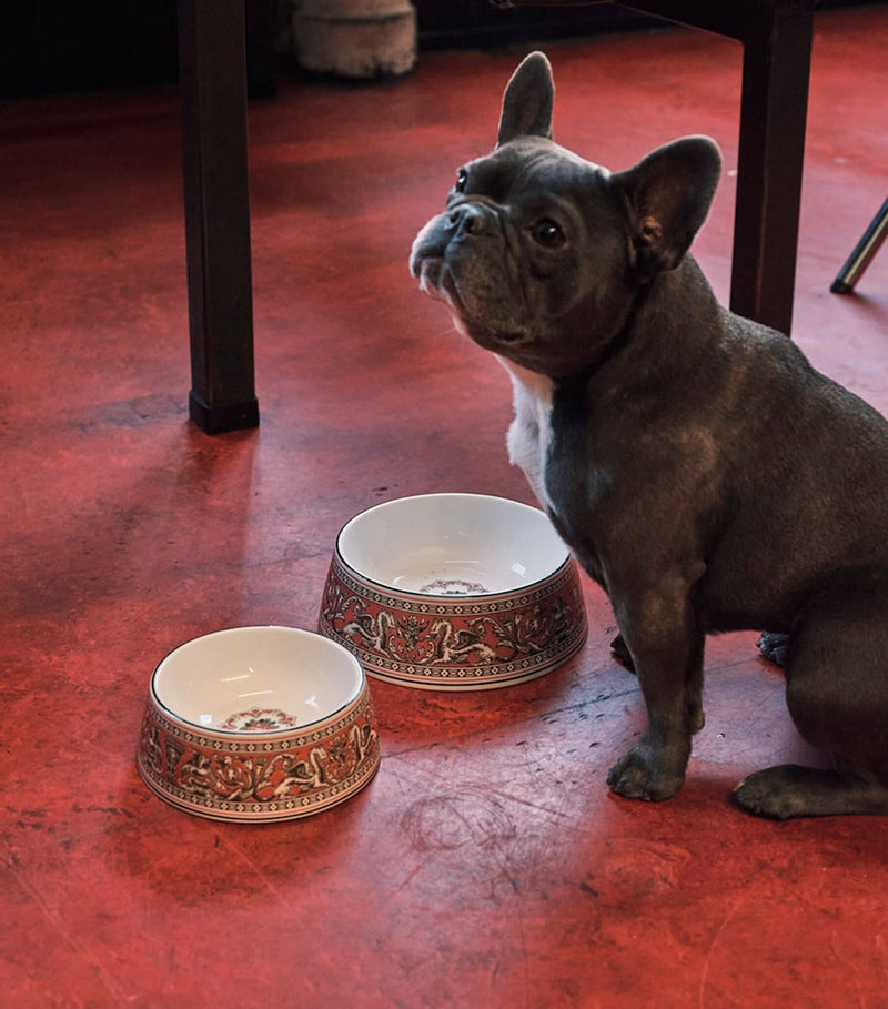 Wedgwood bone china Florentine pet bowl 17cm, imported from the UK