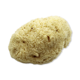 Holland & Barrett Nature's Touch Sheep Wool Gentle Body & Bath Natural Sea Sponge 5-5.5 Inches- Buy online at McGrocer