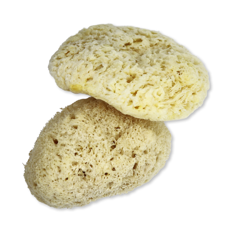 SpongeBox Sheep Wool Natural Sea Sponge 5-5.5 Inches, imported from the UK