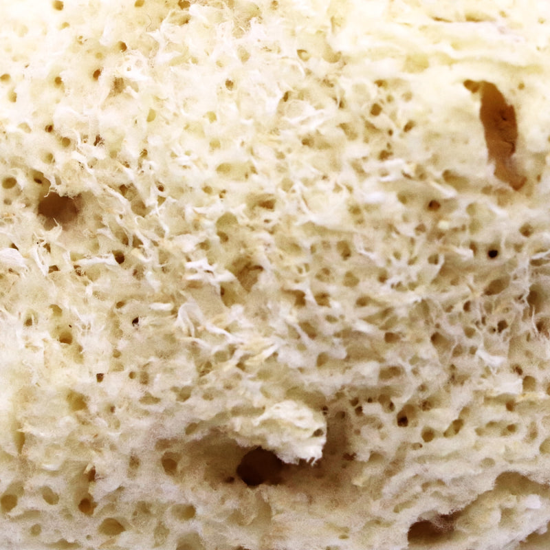 SpongeBox Sheep Wool Natural Sea Sponge 5-5.5 Inches, imported from the UK