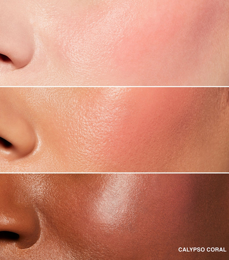 Bobbi Brown Pot Rouge cream rouge - British product