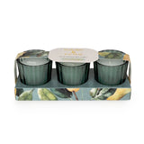 Superdrug Candlelight Set of 3 Ribbed Mini Candles - Pear Tree & Bay Leaf- Buy online at McGrocer