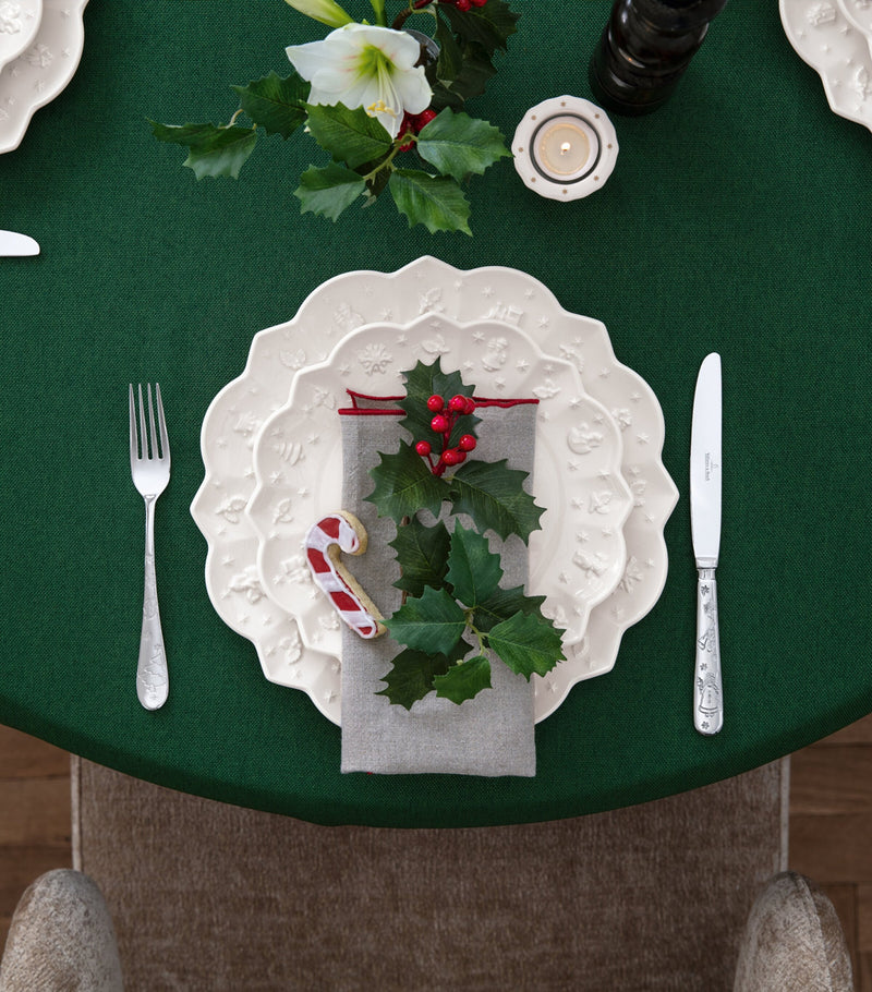 Villeroy & Boch porcelain plates set of 12 (British brand)