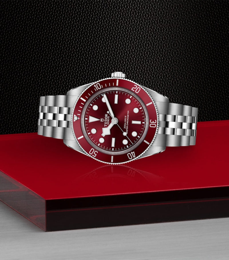 TUDOR Black Bay 58 watch 39mm (British brand)
