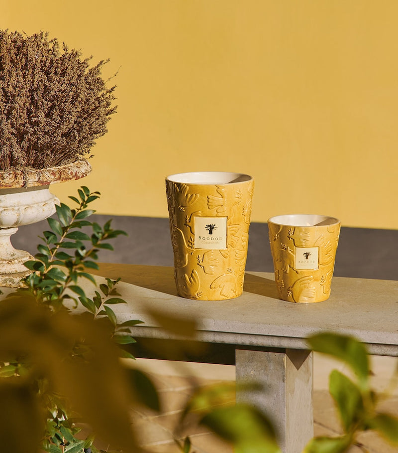 Baobab Dove scented candle 6kg - British product