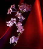 Christian Louboutin Fétiche Le Cuir eau de parfum 80ml, imported from the UK