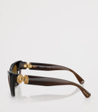 Swarovski cat eye sunglasses SK6047 plastic frame - British product