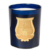 Harrods Trudon Les Belles Matières Reggio Scented Candle 3kg- Buy online at McGrocer
