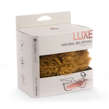 Holland & Barrett Hydréa London Honeycomb Natural Sea Sponge 5-5.5 Inches- Buy online at McGrocer