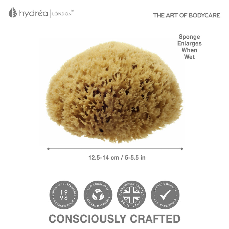 Hydréa London natural sea sponge 5-5.5 inches (British brand)