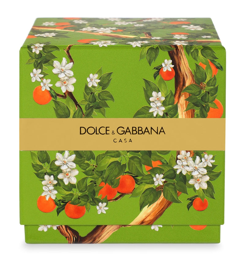 Dolce&Gabbana Arancio di Sicilia scented candle 250g, UK version