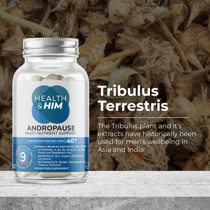 Health & Him Andropause 40+ Testosterone Support 60 capsules - British product