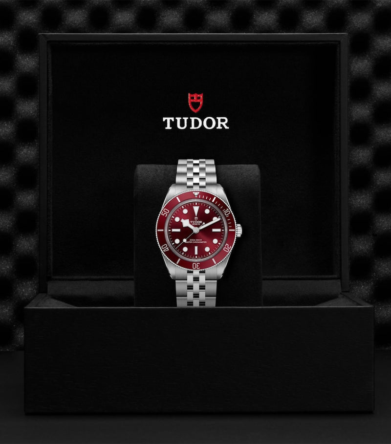 TUDOR Black Bay 58 watch 39mm (British brand)