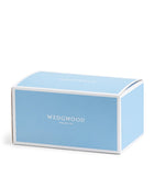 Wedgwood Gio bone china mugs set of 2, imported from the UK