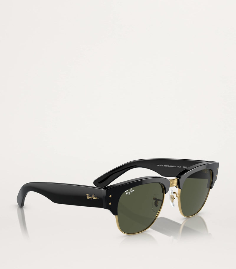Ray-Ban Propionate sunglasses 0RB0316S - British product