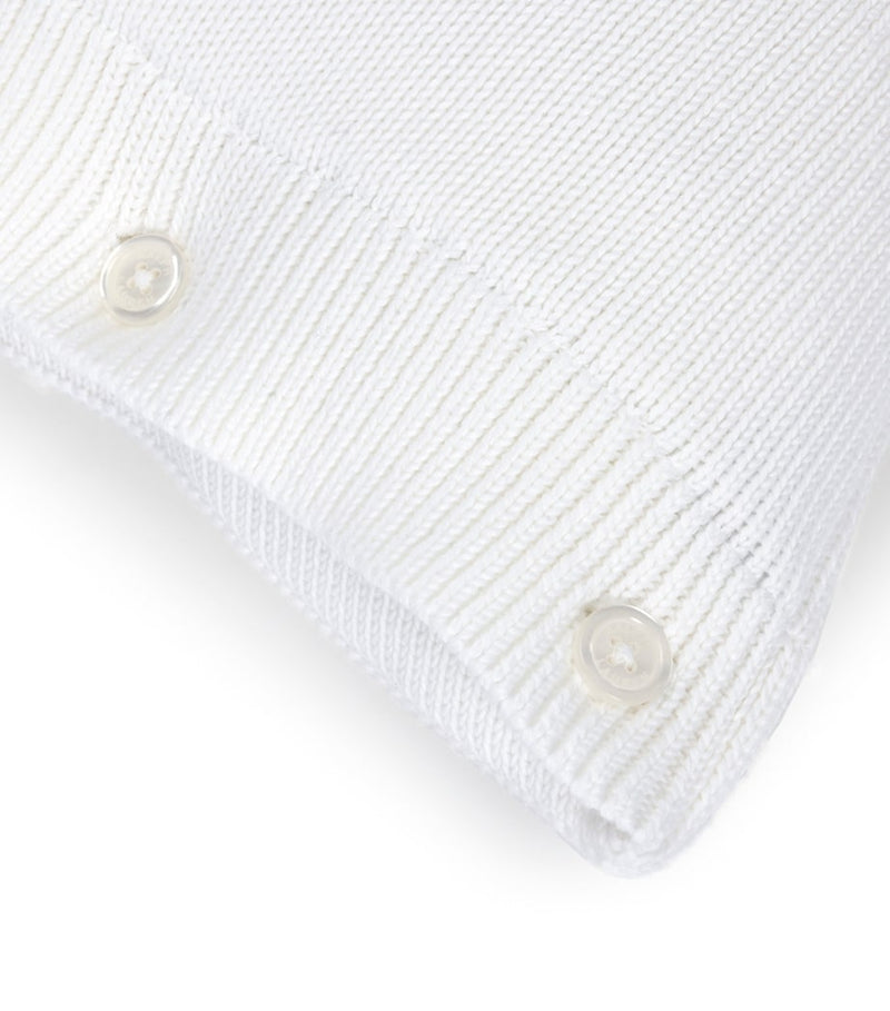 Ralph Lauren Home Hawthorne cushion cover 50cm x 50cm (British brand)