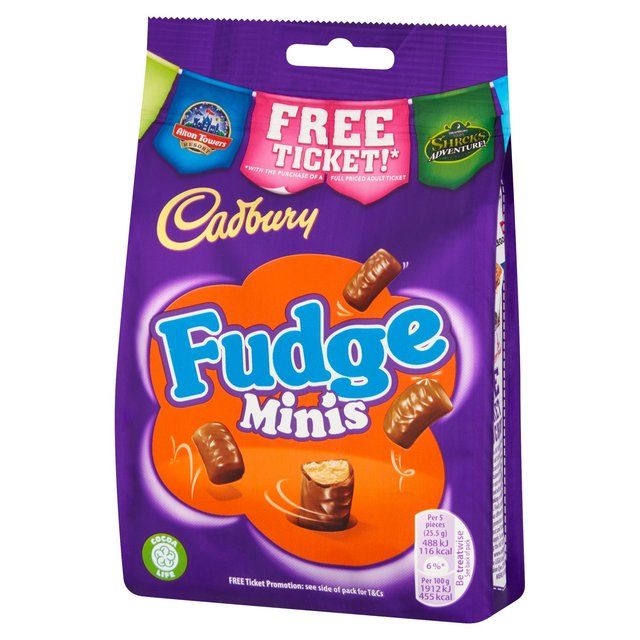 Cadbury Fudge Minis Chocolate Bag 120g