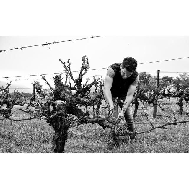 Capeography Landscape Swartland Grenache Blanc 75cl