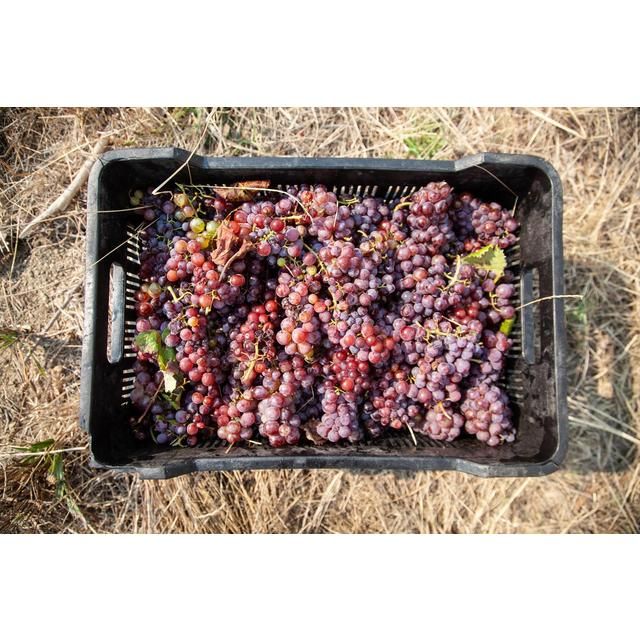 Capeography Seascape Coastal Malbec 75cl