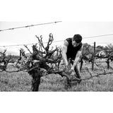 Capeography Seascape Coastal Malbec 75cl