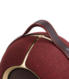 Devialet Mania portable speaker - British product