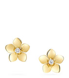 Graff Wild Flower earrings yellow gold diamond, imported from the UK