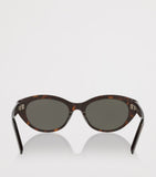 Saint Laurent round acetate sunglasses, imported from the UK