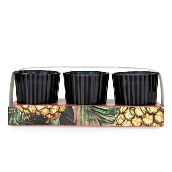 Candlelight Set of 3 Ribbed Mini Candles - Pineapple & Coconut