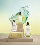 L'Occitane Cédrat perfumed shower gel 250ml, imported from the UK