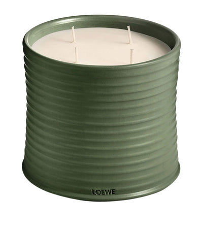 Harrods LOEWE Marihuana Scented Candle Large- Buy online at McGrocer