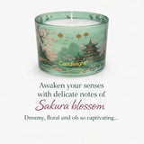 Candlelight Chengdu candle gift set jade-green votive candles (British brand)