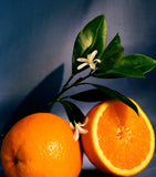 LOEWE orange blossom room spray 150ml, UK version